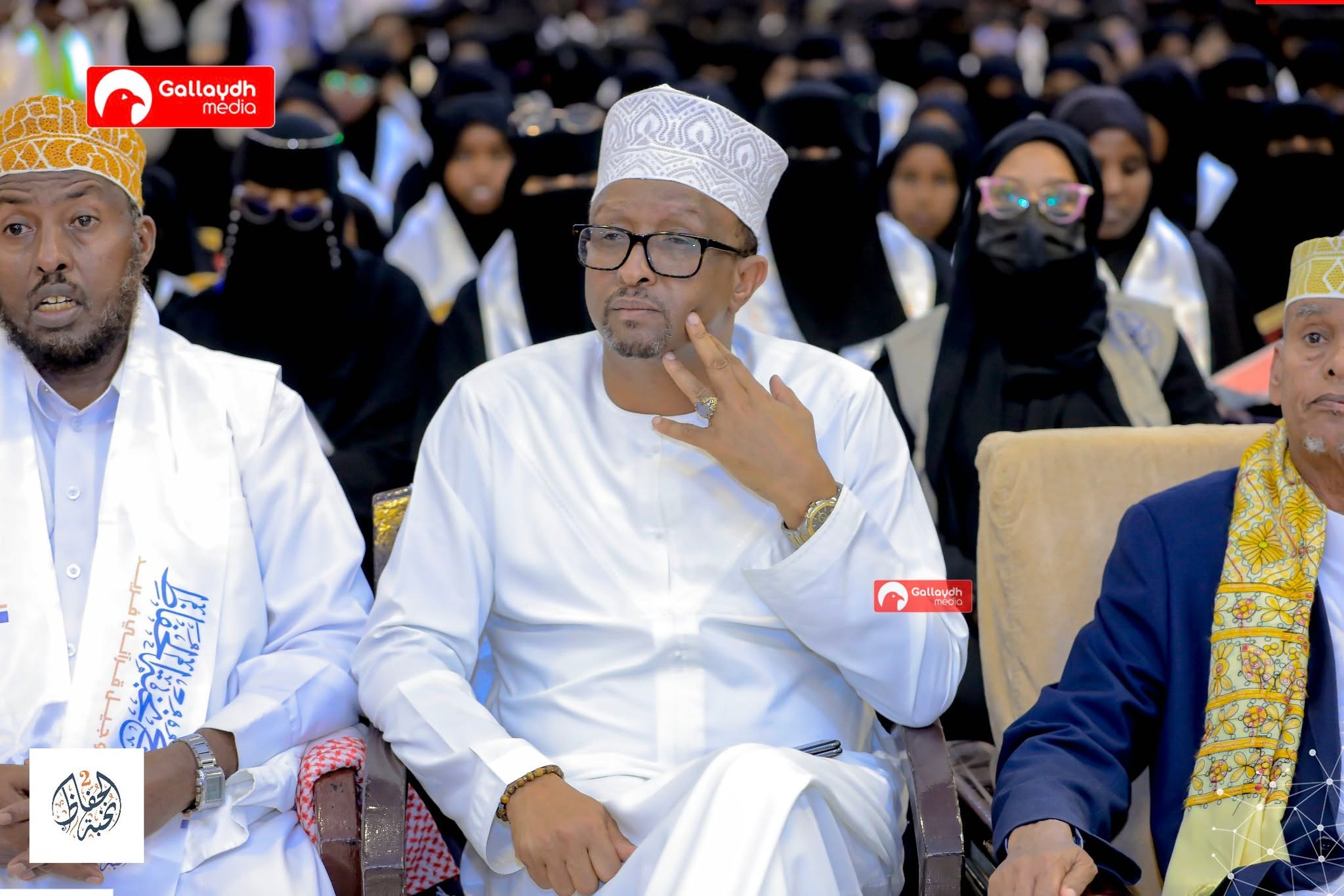 السيد عبد الكريم أحمد موجي